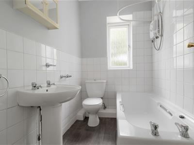 Picture 11